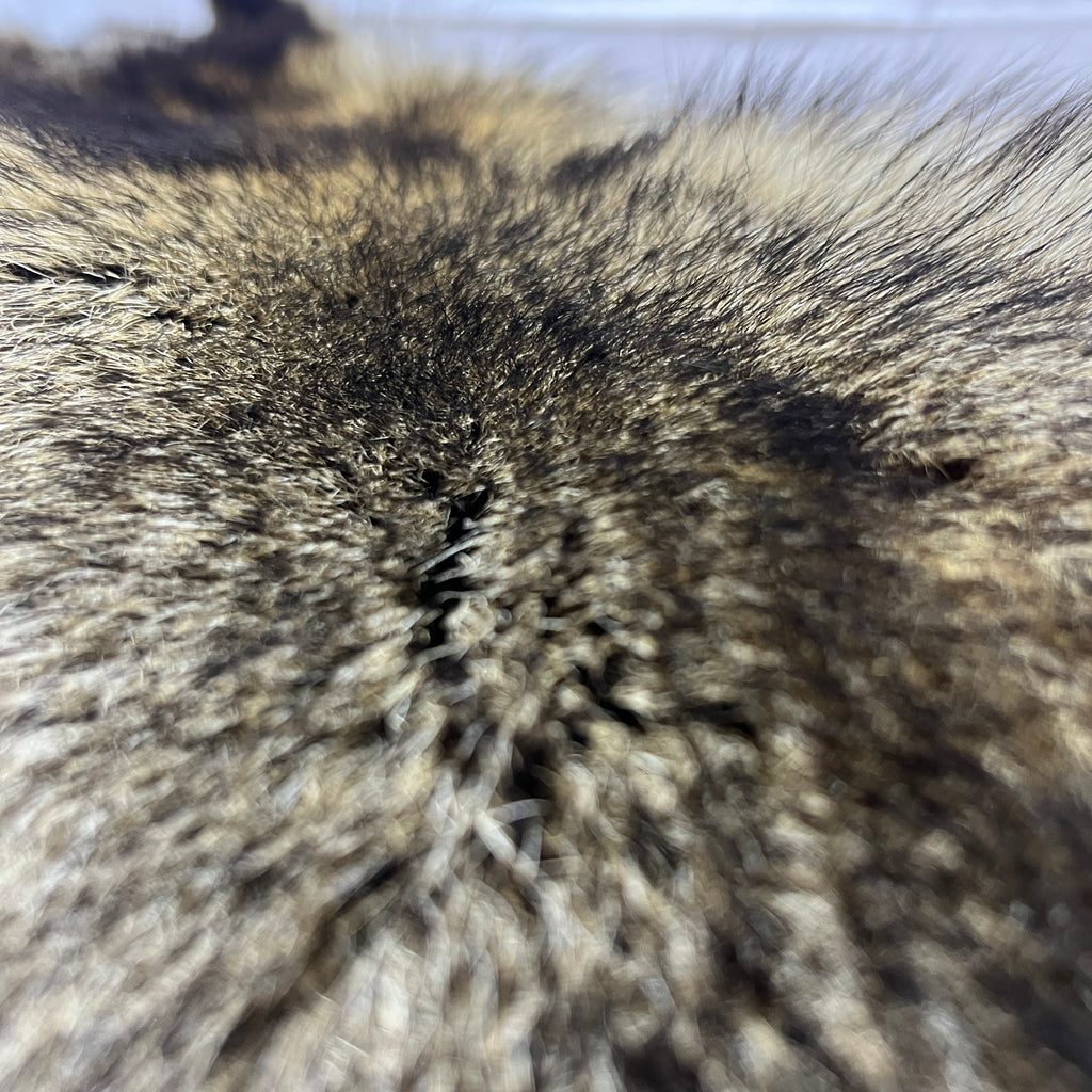 Coon Trapper's Bundle